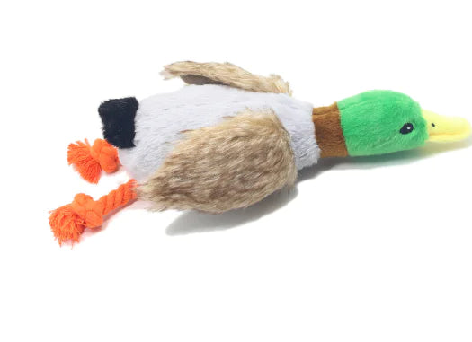 plush sound duck dog toy