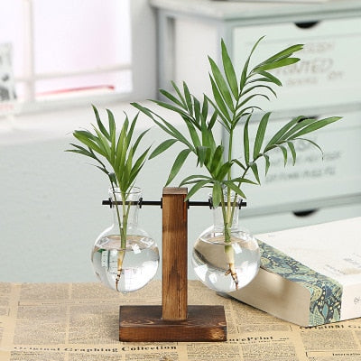 hydroponic transparent plant vases