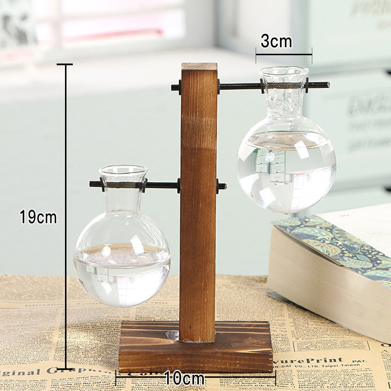 hydroponic transparent plant vases