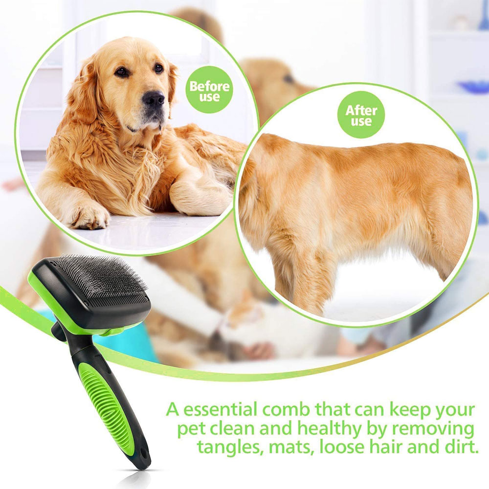 self cleaning dog brush