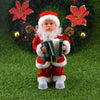 Santa Claus Playing The Accordion