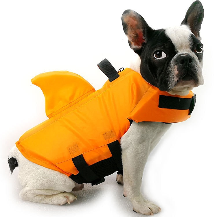 dog life vest