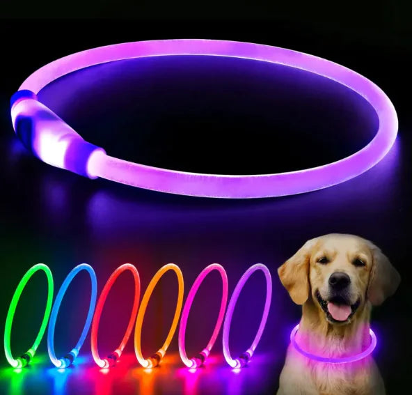 led rechargeable dog collar