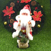 Nordic Beard Santa Claus