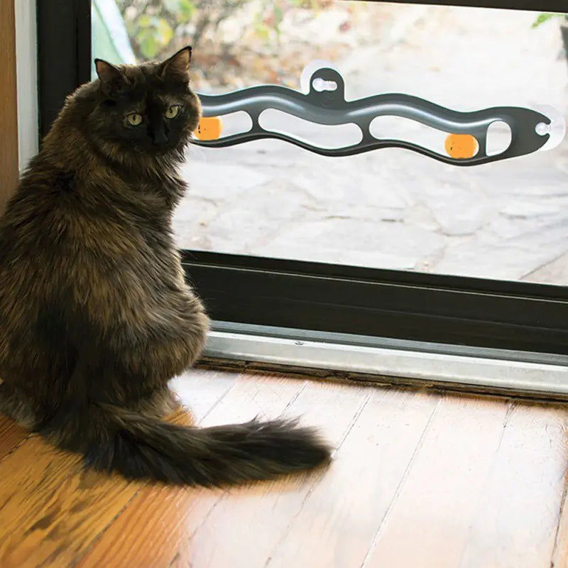 suction cup window track ball cat toy