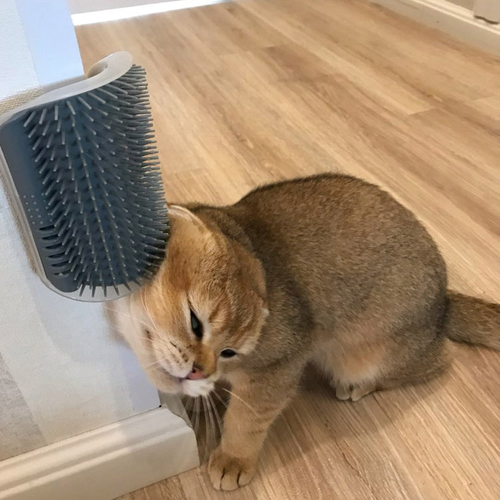 cat self groomer corner brush