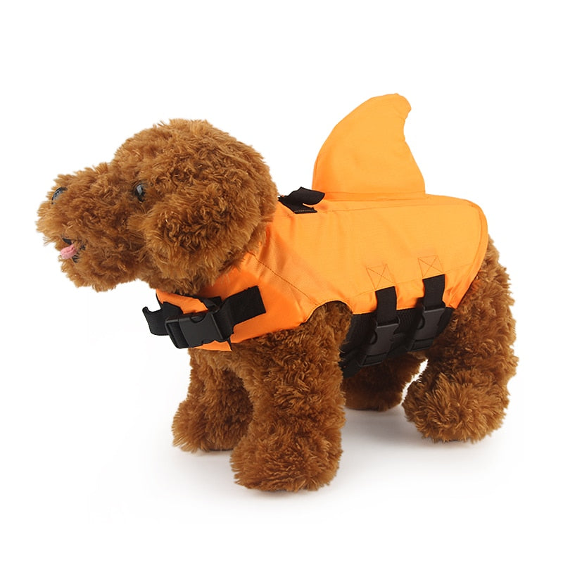 dog life vest