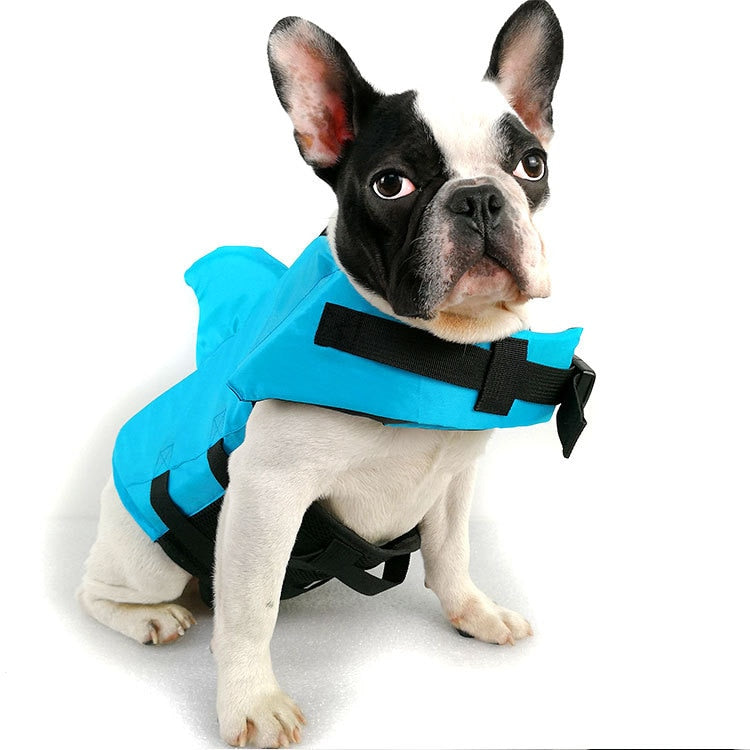 dog life vest
