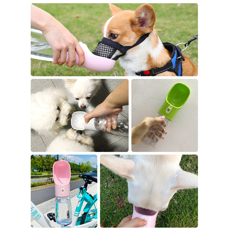 pet dog water bottle feeder