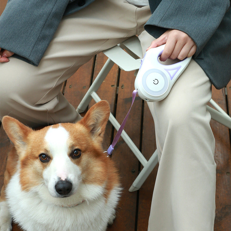 led lights dog leash
