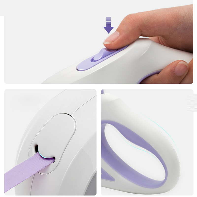 led lights dog leash
