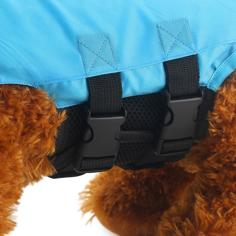 dog life vest