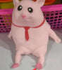 25cm / 25cm