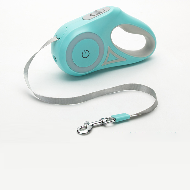 led lights dog leash