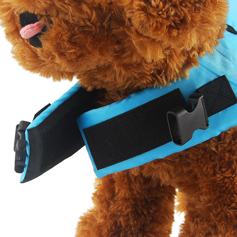 dog life vest